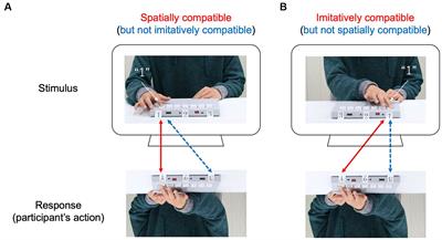 The effect of automatic imitation in serial movements with different effectors